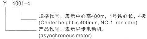 西安泰富西玛Y系列(H355-1000)高压YE2-112M-4三相异步电机型号说明