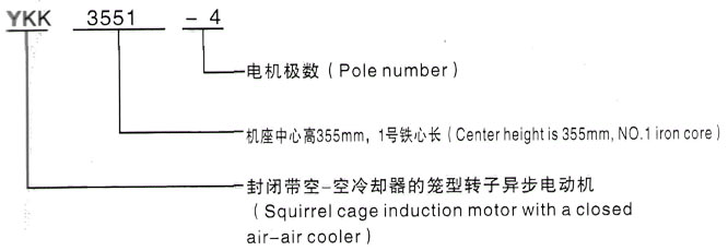 YKK系列(H355-1000)高压YE2-112M-4三相异步电机西安泰富西玛电机型号说明